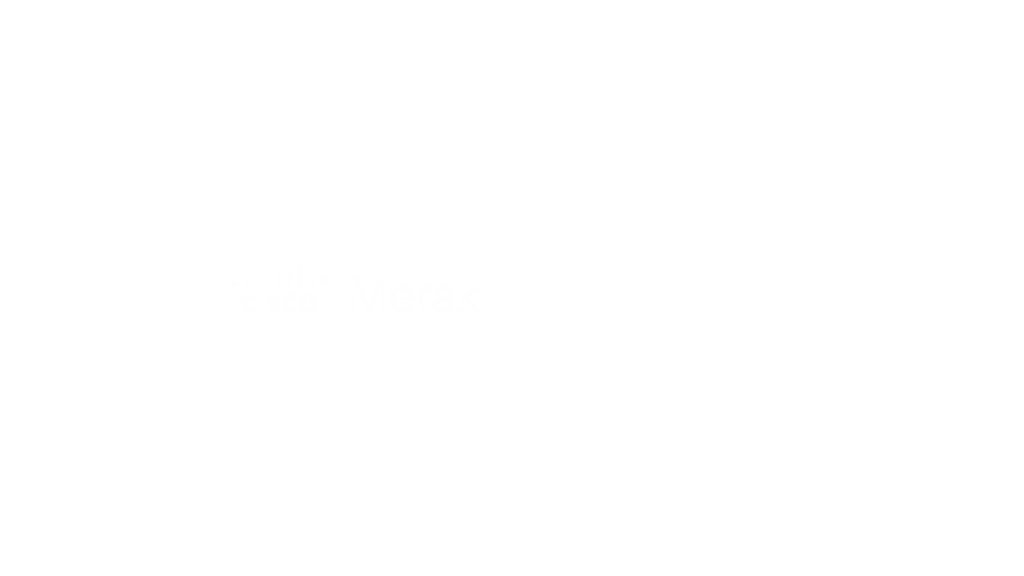 Take advantage of Meraki programmability with our services